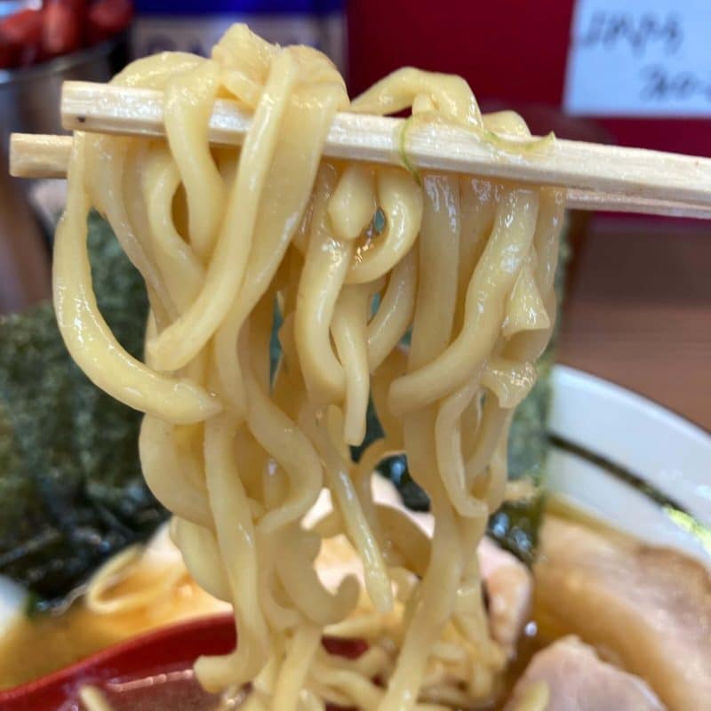 【麺家 たいせい】の酒井製麺の中太麺を箸で持ち上げ
